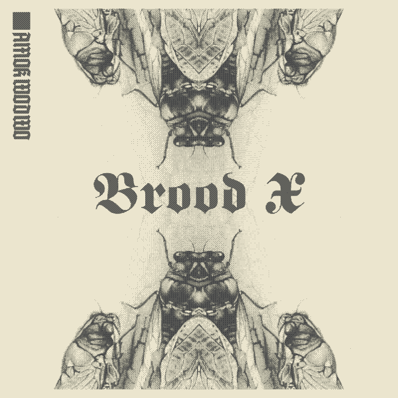 Brood X cover